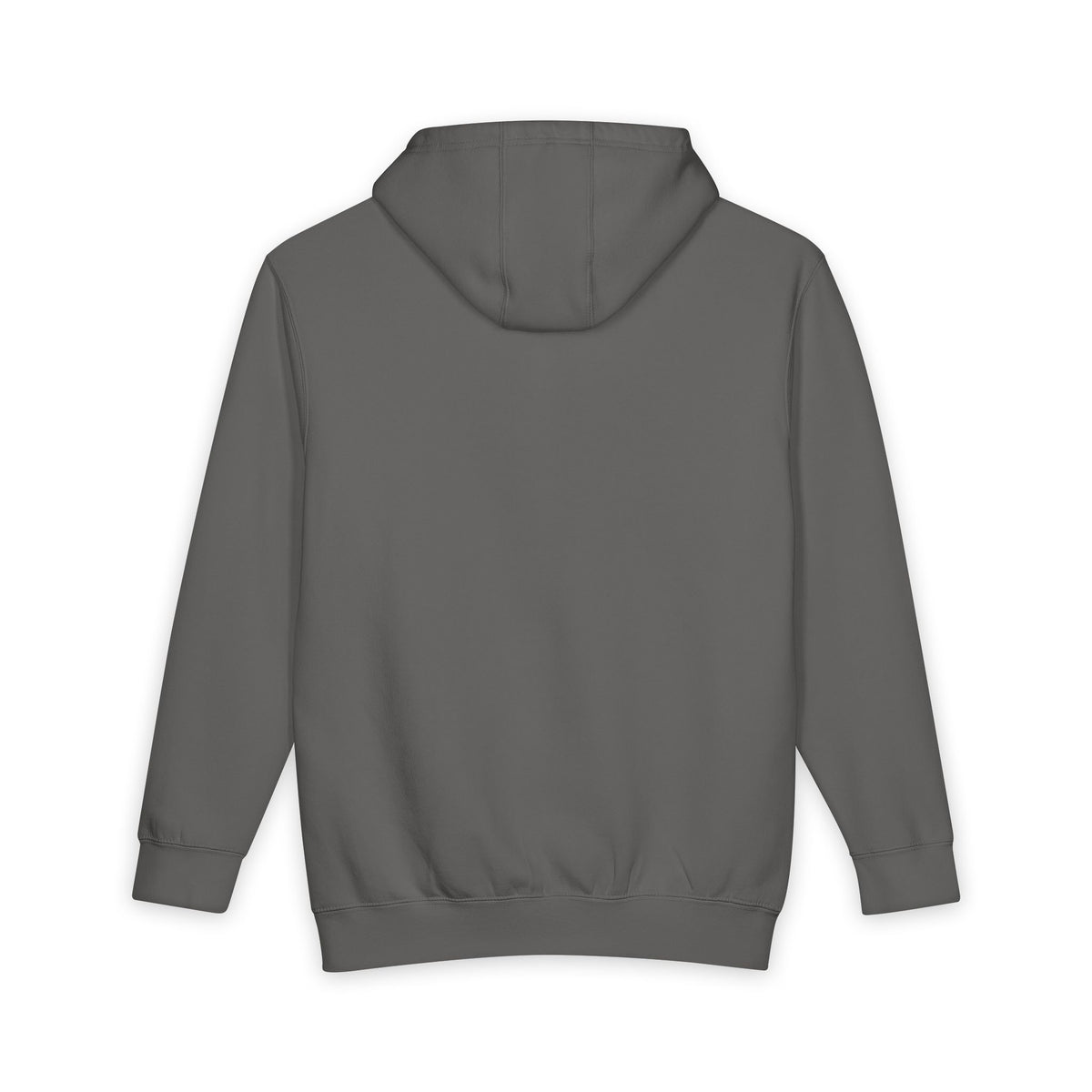 Second Chances Save Lives Hoodie — Roots Recovery Housing