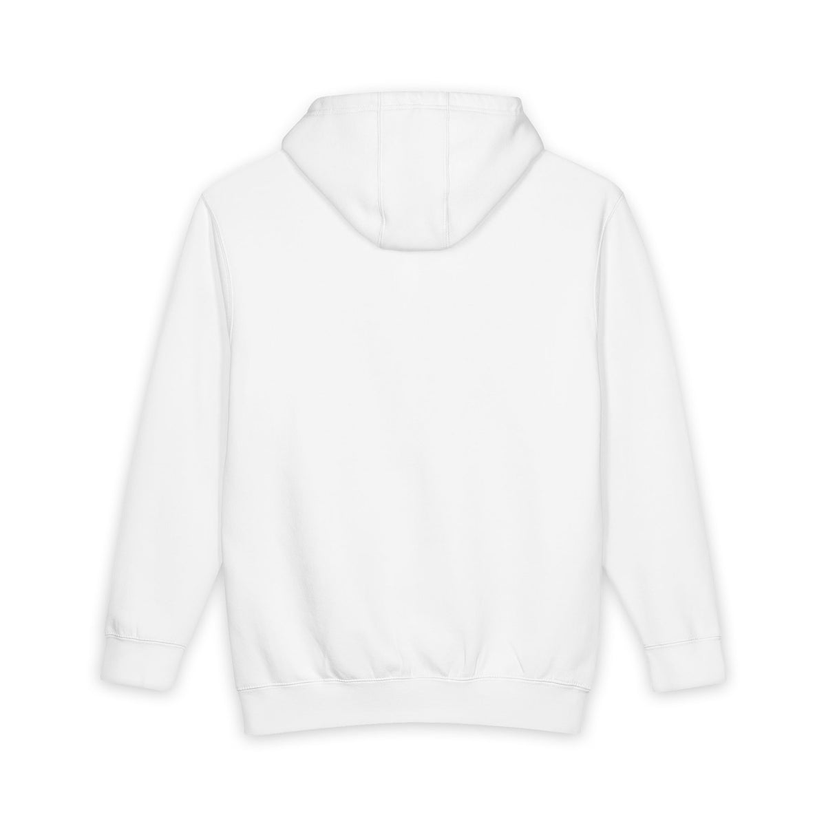 Second Chances Save Lives Hoodie — Roots Recovery Housing