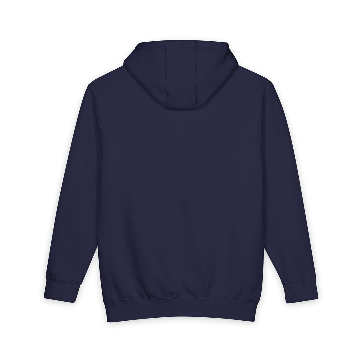 Second Chances Save Lives Hoodie — Roots Recovery Housing